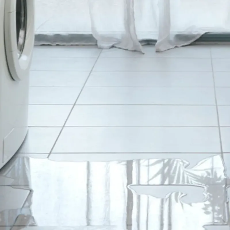 Appliance Leak Cleanup in White Plains, NC