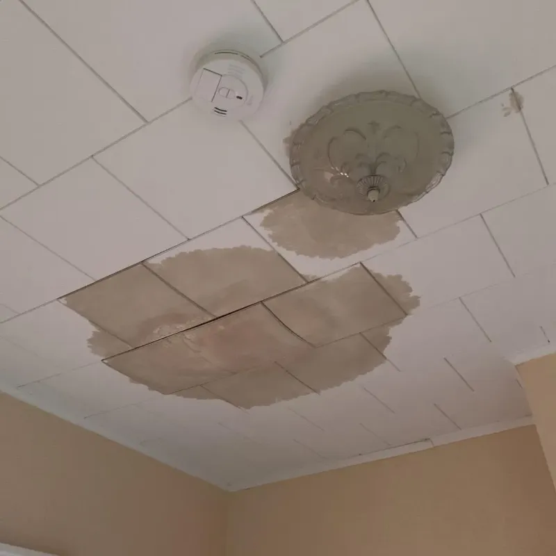 Ceiling Water Damage Repair in White Plains, NC