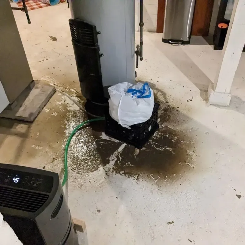 Sewage Backup Cleanup Service in White Plains, NC